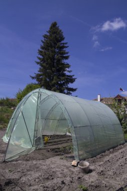 garden greenhouse with metal frame clipart