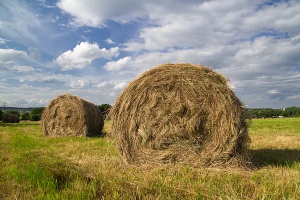 Authentic weath bale on a sunny day Royalty Free Stock Photos