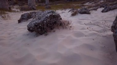 Çölde EPİK Taşı Forest Phenomenon. Kaya oluşumları ve durağan nefes darlığı.