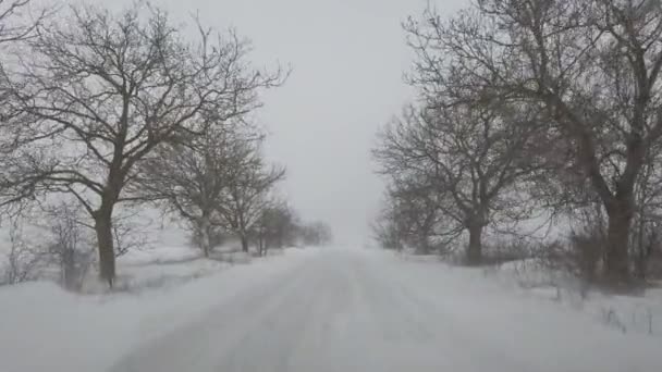 氷の道の吹雪の中でフロントPoVの運転。コンセプト:危険な運転、危険な天候. — ストック動画