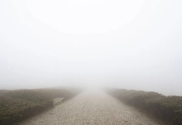 Paving stone road with fog ahead, vertical — Stock Photo, Image