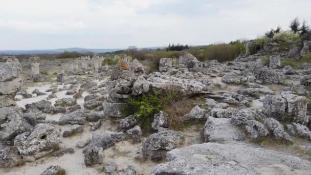 Floresta de Pedra perto de Varna, Bulgária. O único deserto nos Balcãs com antigas rochas cilíndricas — Vídeo de Stock