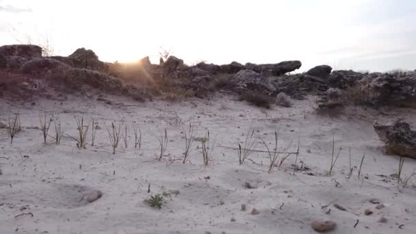불가리아의 바르나 근처에 있는 스톤 포레스트. 고대 원기둥 바위가 있는 발칸반도 의유 일 한 사막 — 비디오