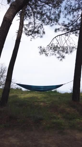 Vertical Pov of people sleep on hammock in forest — Stock Video