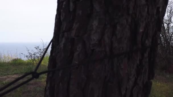 Movimiento estabilizado de hamaca vacía en un bosque cerca de la playa — Vídeo de stock