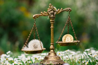Bitcoin ve pullarda da bir dandelyon. BITCOIN Madencilik ENERJİ KONUŞMASI
