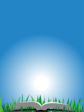 Book on grass