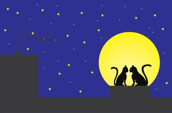 Erkek ve dişi kedi bir çatı üzerinde 