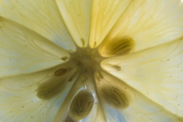 Lemon slice in water frame filling — Stock Photo, Image