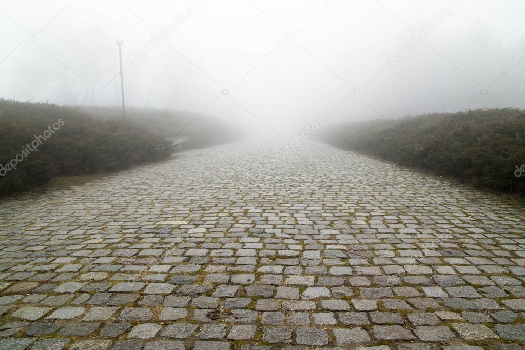 Paving stone road with fog