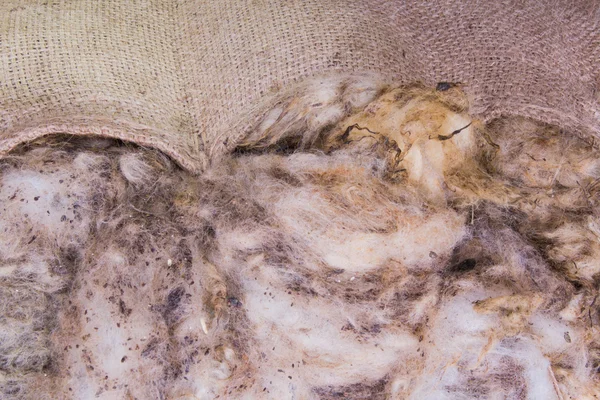 Ham yün ile çuval