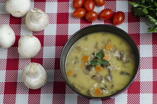 Sopa de setas — Foto de Stock