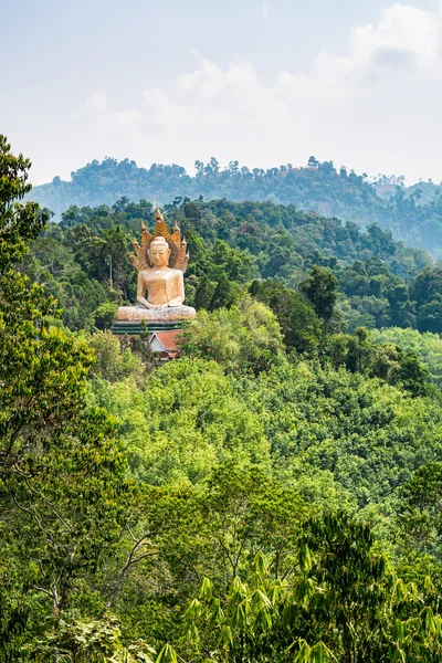 Imagem de um grande buda na montanha — Fotografia de Stock