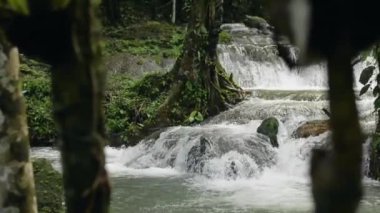 Yağmur mevsiminde, tropikal ormanlarda, güneş ışığı altında, kayaların üzerinden akan tatlı suyun parallaks vuruşu, bereketli yaprak bitkilerine doğru akar. Ağır çekim. Phang Nga Eyaleti. Tayland.