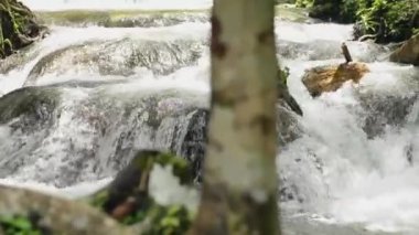 Tatlı su, yaz aylarında tropikal ormanlarda yosunlu kayaların üzerinden yeşil bitkiler arasından çağlayarak akar. Parallax yavaş çekim. Phang Nga Eyaleti. Tayland.