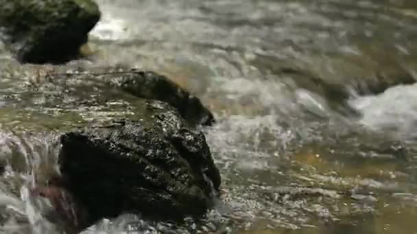 Невелика Річка Швидко Протікає Скелях Влітку Близько Свіжої Чистої Води — стокове відео