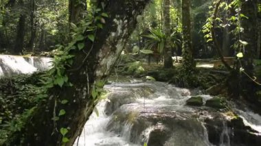 Su akıntısı, tropikal ormanlarda sabah güneşi altında yeşil bitkilerin arasından kayaların üzerinden akar. Döndürme atışı. Doğal koruma için. Phang Nga Eyaleti. Tayland.