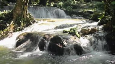 Tatlı su, yaz aylarında tropikal ormanlarda yosunlu kayaların üzerinden yeşil bitkiler arasından çağlayarak akar. Phang Nga Eyaleti. Tayland.