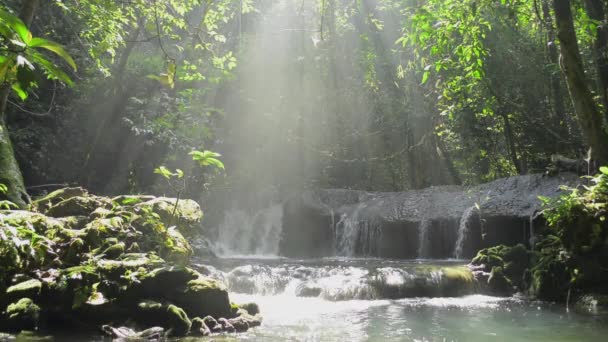 Increíble Paisaje Rayos Sol Iluminando Través Árboles Verdes Hasta Cascada — Vídeo de stock