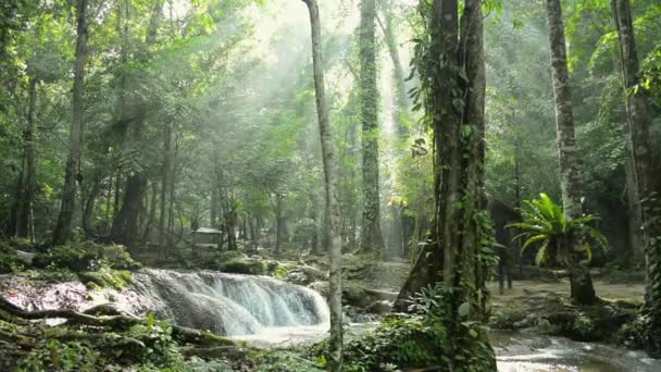 아름다운 햇살이 열대림에서 여름철의 폭포에서 흘러내리는 나뭇잎 사이로 비치고 태국의 — 비디오