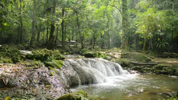 Landschaft Des Nang Manora Forest Park Mit Wasserlauf Über Die — Stockvideo