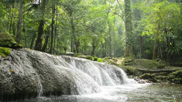 Gyönyörű Jelenet Kis Vízesés Trópusi Erdőben Reggeli Napfény Alatt Friss — Stock videók