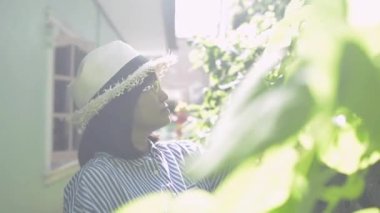 Gözlüklü Asyalı kadın hasır şapka takıyor ve sabah güneşi altında evde yeşil bitkiler buduyor. Bitkilerin umurunda. Hobileri ve boş zamanları. Sağlıklı yaşam tarzı.