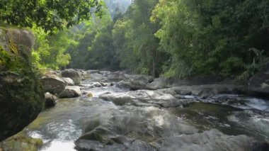 Ton Pariwat Vahşi Yaşam Sığınağı 'ndaki şelaleden akan dere. Dağın içinden akan akarsu, sabahları güneş ışığı altında tropikal ormanlar arasında kayaların arasından akar. Tayland.