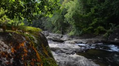 Manzara, sabah güneş ışığı altında yeşil bitkilerin arasında dağların arasından kayaların arasından akan güzel bir dere manzarası yakalamıştı. Ton Pariwat Vahşi Yaşam Sığınağı 'ndaki şelaleden akan dere. Tayland.