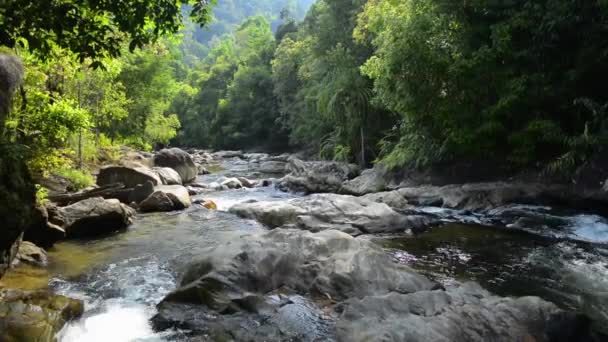 在阳光下 泛泛而起的溪水从山上流过岩石 在热带森林中流过 从Ton Pariwat野生动物保护区瀑布中奔流而下的小溪 — 图库视频影像