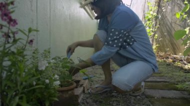 Hasır şapka takan Asyalı kadın evde saksı bitkileri için toprağı temizliyor. Çiçek. Bahçıvanlık. Hobiler ve Boş Zamanlar aktiviteleri.