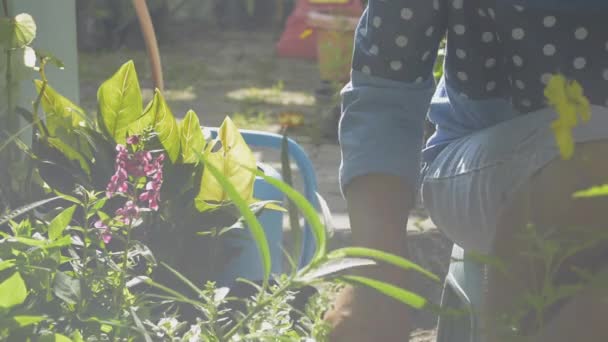 Asiatisk Kvinna Som Bryr Sig Och Omplanterar Krukblomman Trädgården Morgonsolen — Stockvideo