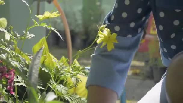 Close Aziatische Vrouw Verzorgen Scheppen Van Bodem Voor Potplanten Huis — Stockvideo