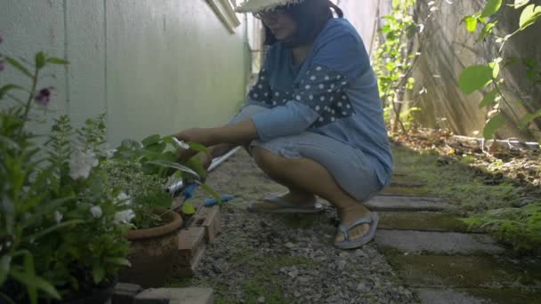 Mulher Asiática Usando Chapéu Palha Cuidar Solo Para Plantas Vasos — Vídeo de Stock