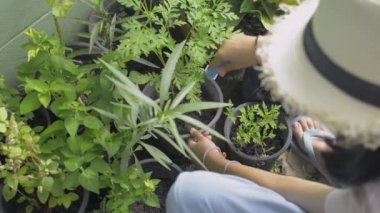 Hasır şapkalı bir kızın evdeki saksı bitkileri için toprağı temizleyişinin en üst görüntüsü. Çiçek. Bahçıvanlık. Hobiler ve Boş Zamanlar aktiviteleri.