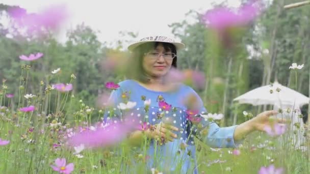 Portrait Asian Woman Wearing Straw Hat Eyeglasses Enjoy Beautiful Cosmos — Stock Video