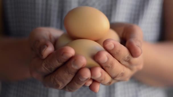 Zamknij Dłonie Kobiety Trzymającej Dłoniach Organiczne Jajka — Wideo stockowe