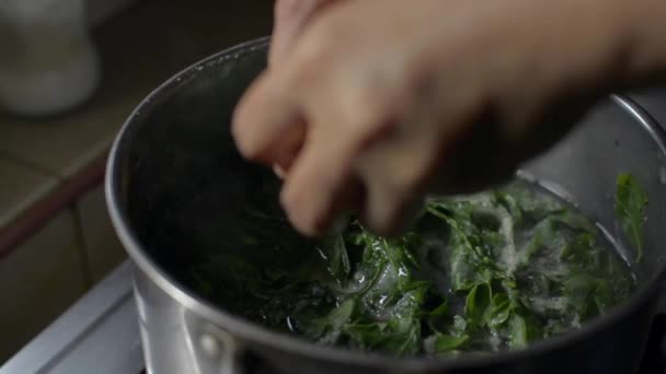 Zblízka Ruku Ženy Praskání Vejce Hrnce Vařící Místní Zeleninou Heathy — Stock video