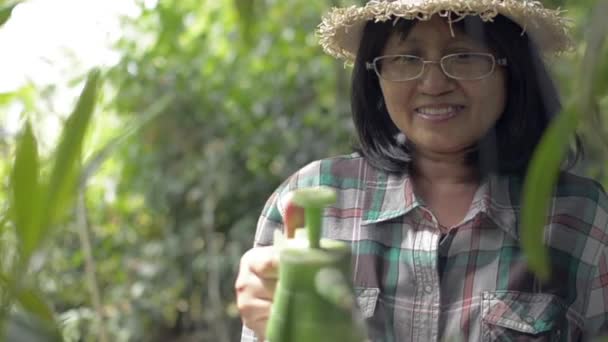 Feliz Jardinero Femenino Tailandés Sombrero Paja Camisa Cuadros Rociando Agua — Vídeos de Stock