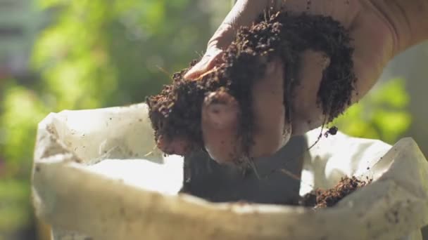 Închideți Mâna Grădinarului Care Deține Zdrobește Solul Organic Compost Pentru — Videoclip de stoc