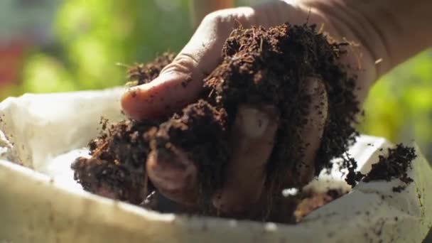 植え付け前に品質を確認するためにビニール袋から有機土壌を保持し 触れている男性農家の手を閉じてください 天然肥料と堆肥 農業と栽培の概念 — ストック動画