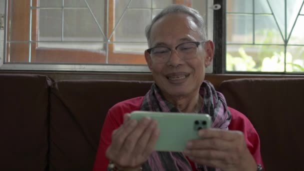 Здоровый Пожилой Дедушка Седыми Волосами Очках Имеющий Видеозвонок Смартфоне Счастливый — стоковое видео