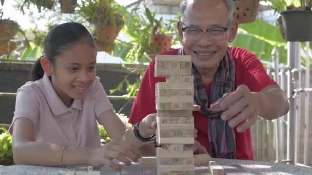 幸せな高齢者の祖父と彼の愛らしい孫娘は 自宅の前庭で一緒に塔から木製のブロックを遊んで引き出します 健康的なライフスタイル — ストック動画