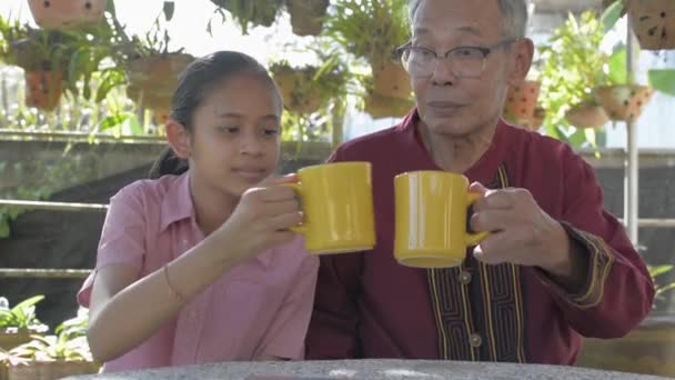 Kakek Senior Yang Bahagia Dan Cucu Perempuan Yang Menggemaskan Meluangkan — Stok Video