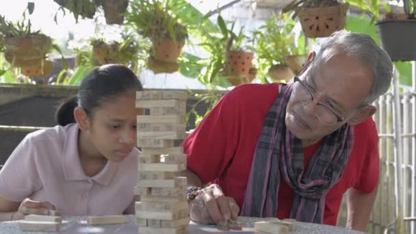 Feliz Abuelo Anciano Adorable Nieta Están Jugando Torre Bloques Madera — Vídeo de stock