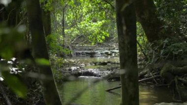 Küçük su akıntısının manzarası ormandaki yeşil bitkiler arasında kayaların üzerinden akar. Yazın derede parlayan güneş ışığı altındaki tropikal ormanın sakinliği. Atışı yukarı kaldır. Tayland.