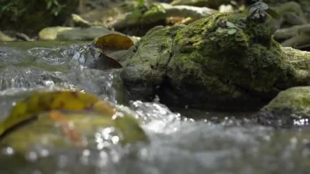 Panorámica Pequeño Chorro Agua Que Fluye Sobre Las Musgosas Rocas — Vídeo de stock