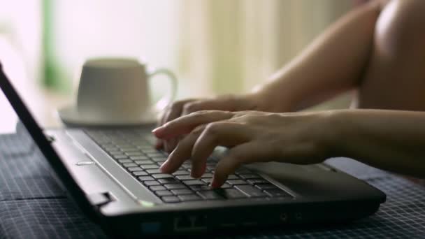 Manos Mujer Escribiendo Teclado Computadora Tomando Café Durante Trabajo Desde — Vídeos de Stock