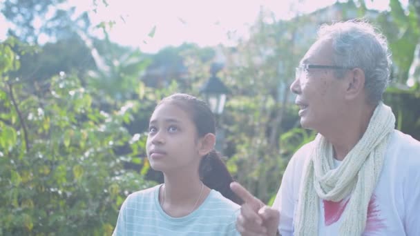 Asiático Senior Gris Pelo Abuelo Gafas Consejos Adorable Nieta Adolescente — Vídeos de Stock