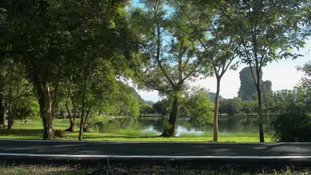 Kamu Parkındaki Sabah Manzarasında Bir Kadın Asfalt Yolda Koşarken Maske — Stok video